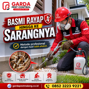 Jasa Suntik Rayap Malang
