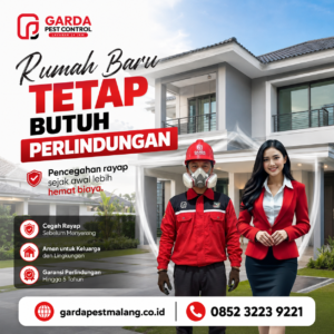 Perusahaan Anti Rayap Terbaik Malang
