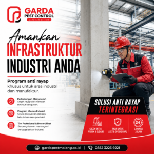 Pembasmi Rayap Malang