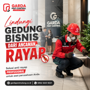 Jasa Anti Rayap di Malang