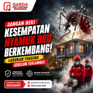 Jasa Semprot Nyamuk DBD