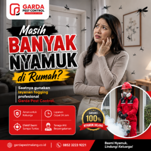 Kontak Jasa Fogging Malang