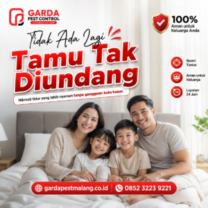 Jasa Fogging Kutu Kasur Malang