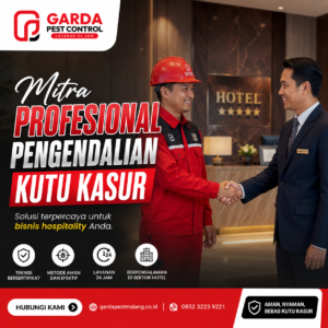Harga Jasa Pembasmi Kutu Kasur Malang