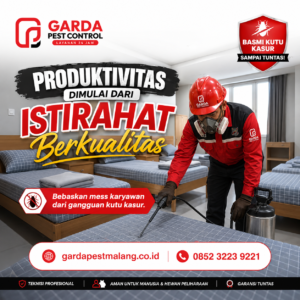 Bahaya Kutu Kasur Bagi Kesehatan