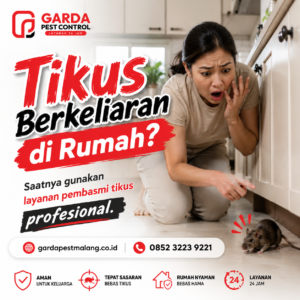 Pest Control Tikus Malang