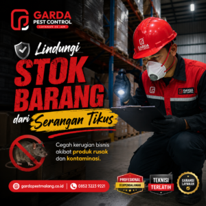 Jasa Pembasmi Tikus Malang