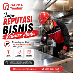 Jasa Pembasmi Tikus Malang