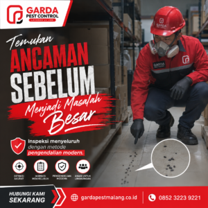 Jasa Basmi Tikus Rumah Malang