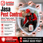 Jasa Pest Control untuk Hotel dan Restoran di Malang