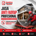 Jasa Anti Rayap di Malang Bergaransi Resmi Layanan Pembasmi Tuntas