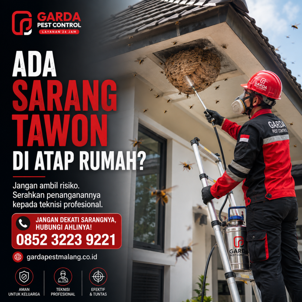 Jasa Pembasmi Tawon di Malang: 24 Jam Layanan Cepat