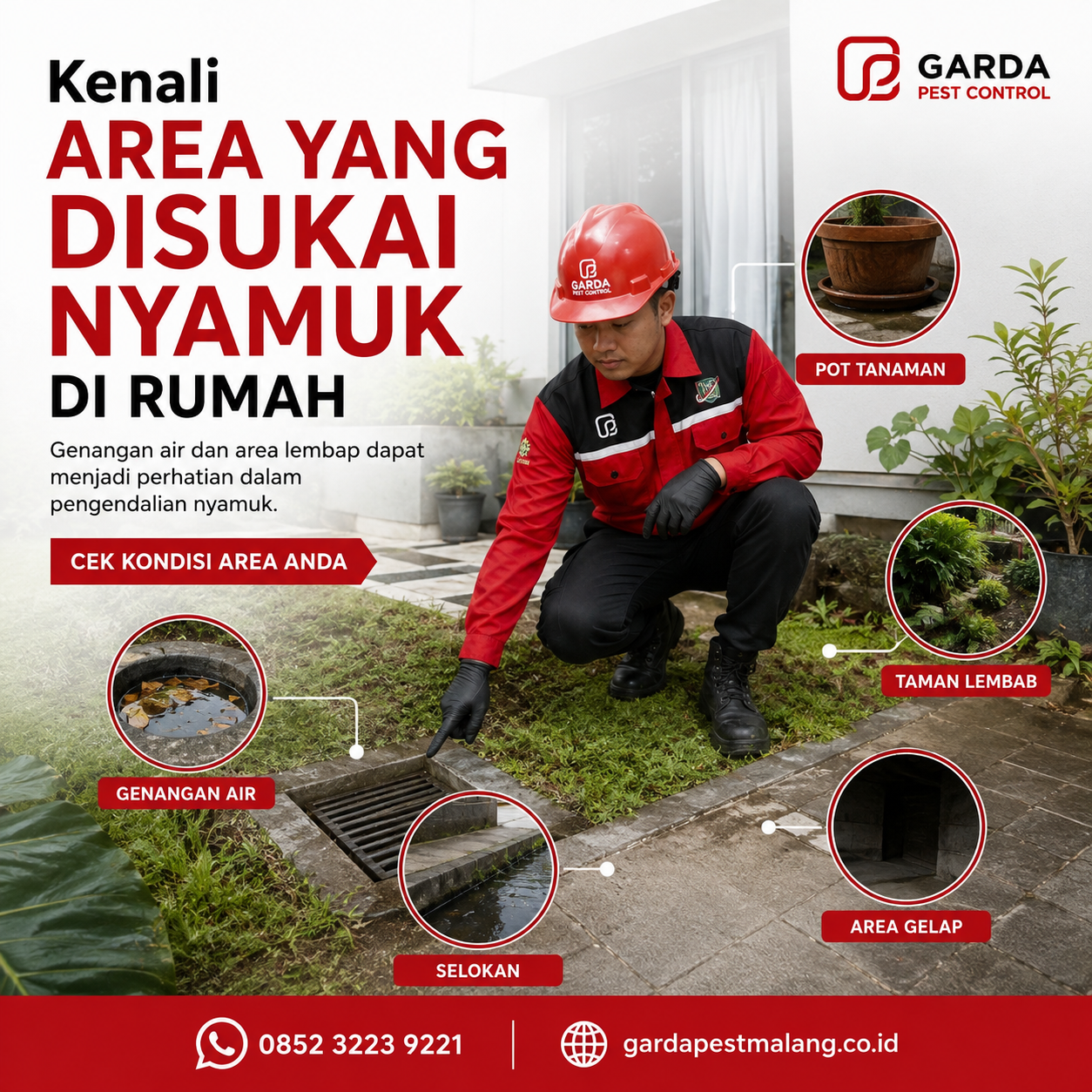 Faktor Utama Penyebab Nyamuk Tetap Muncul Kembali Setelah di Fogging Malang