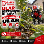 Jasa Pembasmi Ular di Malang: Terbaik No.1