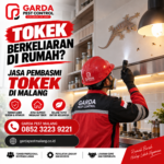 Jasa Pembasmi Tokek di Malang