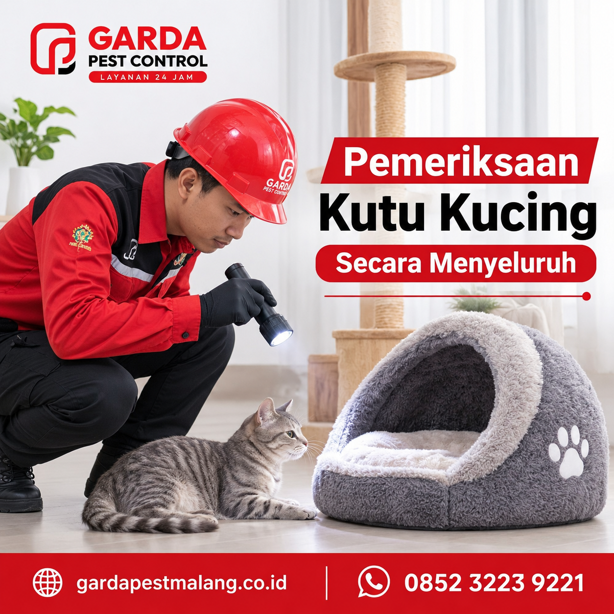 Tanda Infestasi Kutu Kucing di Rumah Sudah Parah dan Cara Mengatasinya