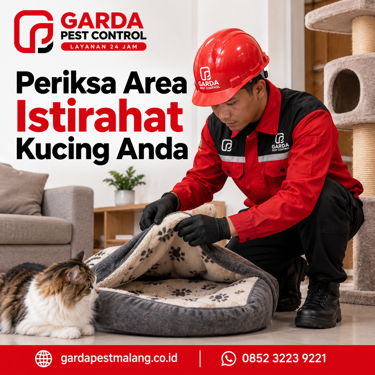 Jasa Pembasmi Kutu Kucing Terpercaya